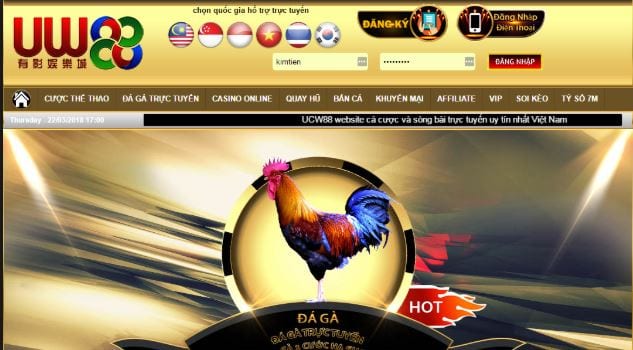 ke ten nhung nha cai da ga truc tuyen so 1 viet nam hinh anh 3 Kể tên những nhà cái đá gà trực tuyến số 1 Việt Nam 5