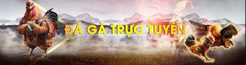 Tiết lộ cách chọn nhà cái đá gà trên mạng uy tín có thể tin tưởng được 3