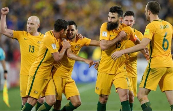 Soi tỷ lệ kèo Palestine vs Úc hình ảnh 1 soi ty le keo palestine vs uc hinh anh 1