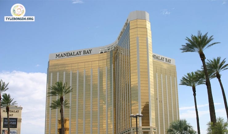 sòng bạc las vegas 02