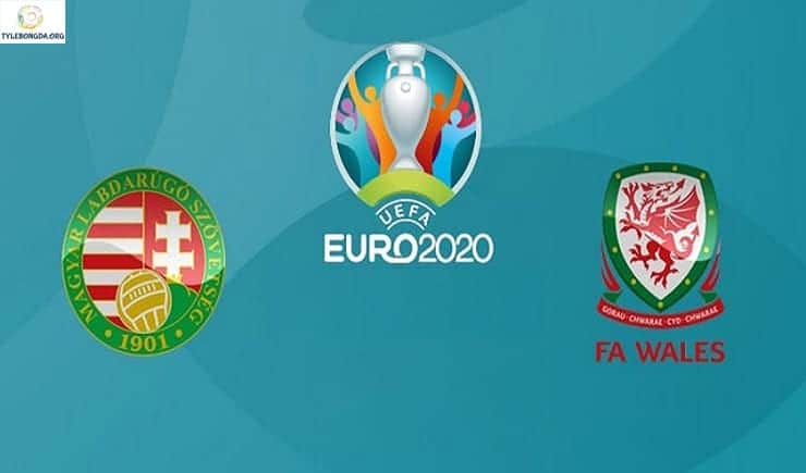 Soi kèo tỷ số bóng đá trận Hungary vs Wales