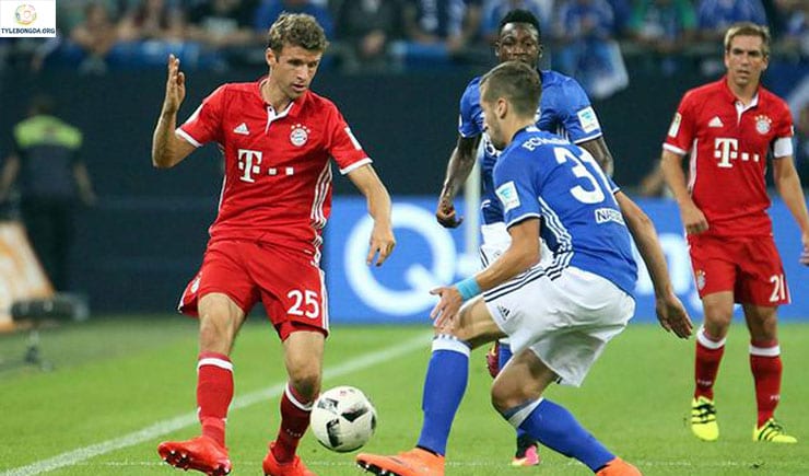 Soi kèo tỷ số bóng đá trận Schalke 04 vs Bayern Munich