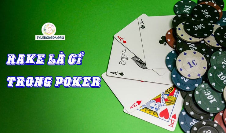 Giải đáp Rake là gì trong Poker chính xác nhất cho người chơi 2 rake là gì trong poker