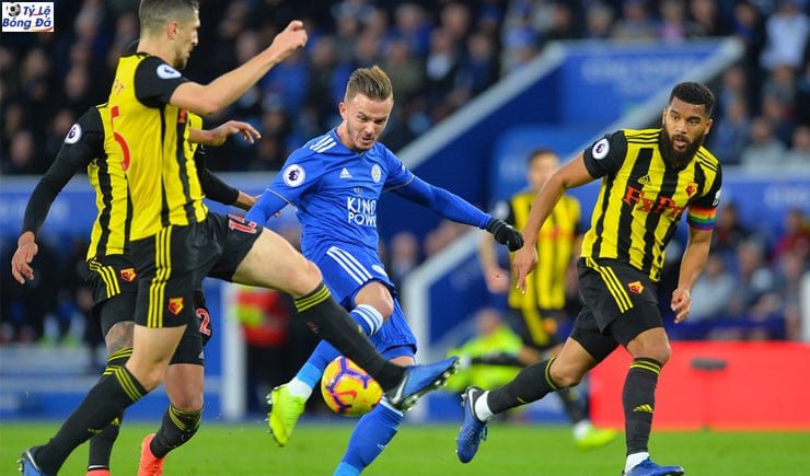 Soi kèo tỷ số bóng đá Watford vs Leicester City