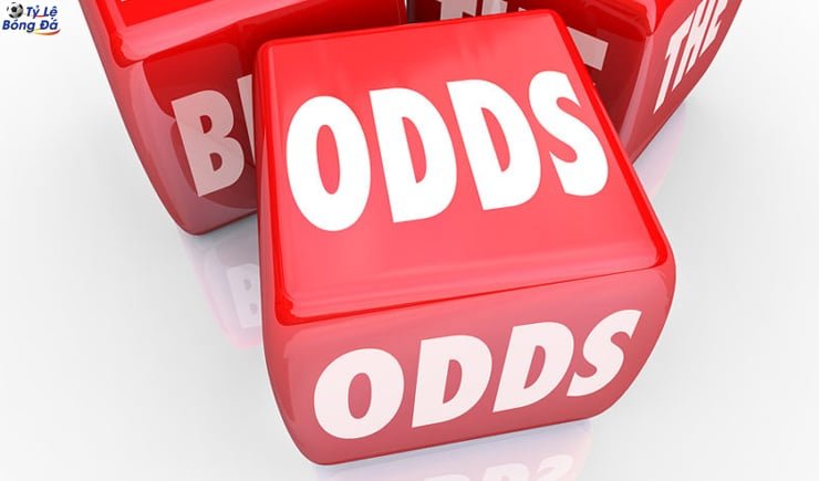 Những mối quan hệ giữa hai loại kèo Những mối quan hệ giữa hai loại kèo