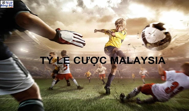 Hướng dẫn kèo cá cược bóng đá Malaysia