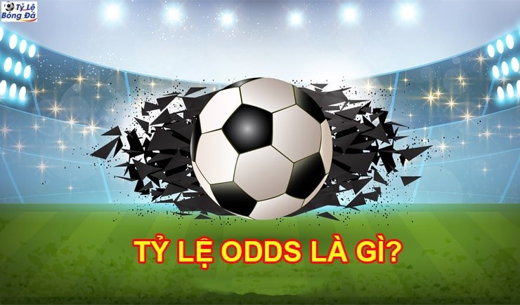 Cùng 88BET tìm hiểu tỷ lệ Odds là gì? Các kiến thức cơ bản về Odds 1 Tìm hiểu tỷ lệ Odds là gì?