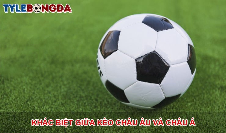 Tìm hiểu sự khác biệt giữa kèo châu Âu và kèo châu Á 1 tìm hiểu sự khác biệt giữa kèo châu âu và châu á