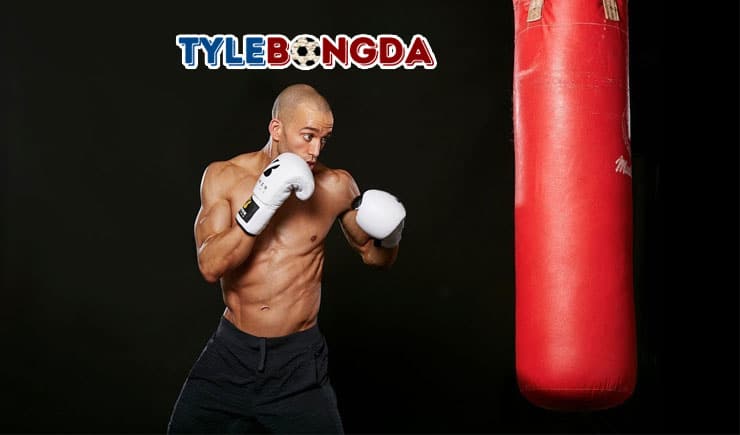 cá cược quyền anh