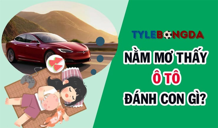 Mơ thấy ô tô đánh con gì? Giải mã giấc mơ thấy ô tô này ngay 1 Mơ thấy ô tô đánh con gì