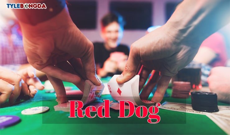 Cách chơi bài Red Dog