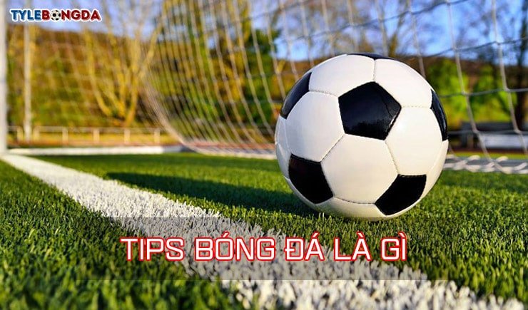 Tips bóng đá là gì