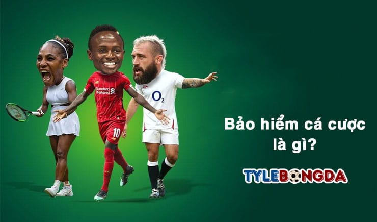 Bảo hiểm cá cược là gì