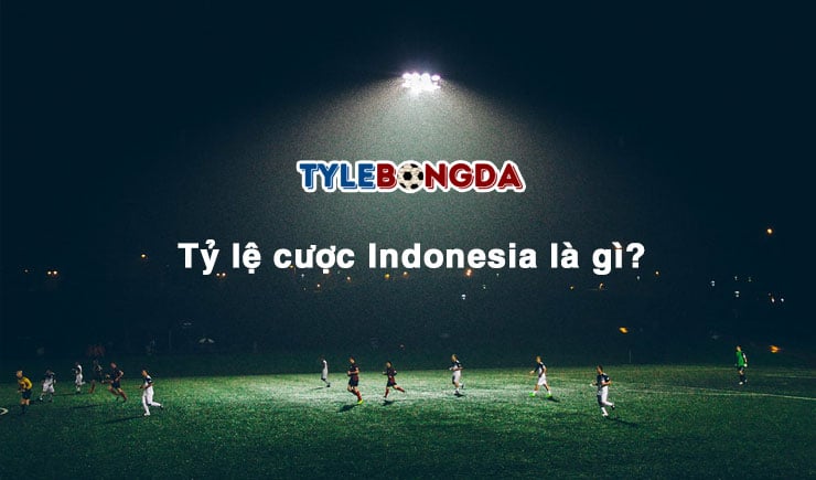 Tỷ lệ cược Indonesia là gì? Có dễ chuyển đổi qua tỷ lệ cược khác 1 Tỷ lệ cược Indonesia là gì
