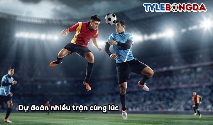 Dự đoán nhiều trận cùng lúc